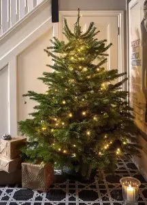 Why buy a real Christmas tree lit tree