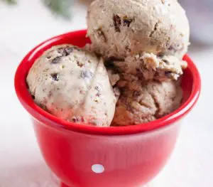 bowl of mince pie ice cream