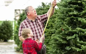 man and boy measuring a Christmas tree.